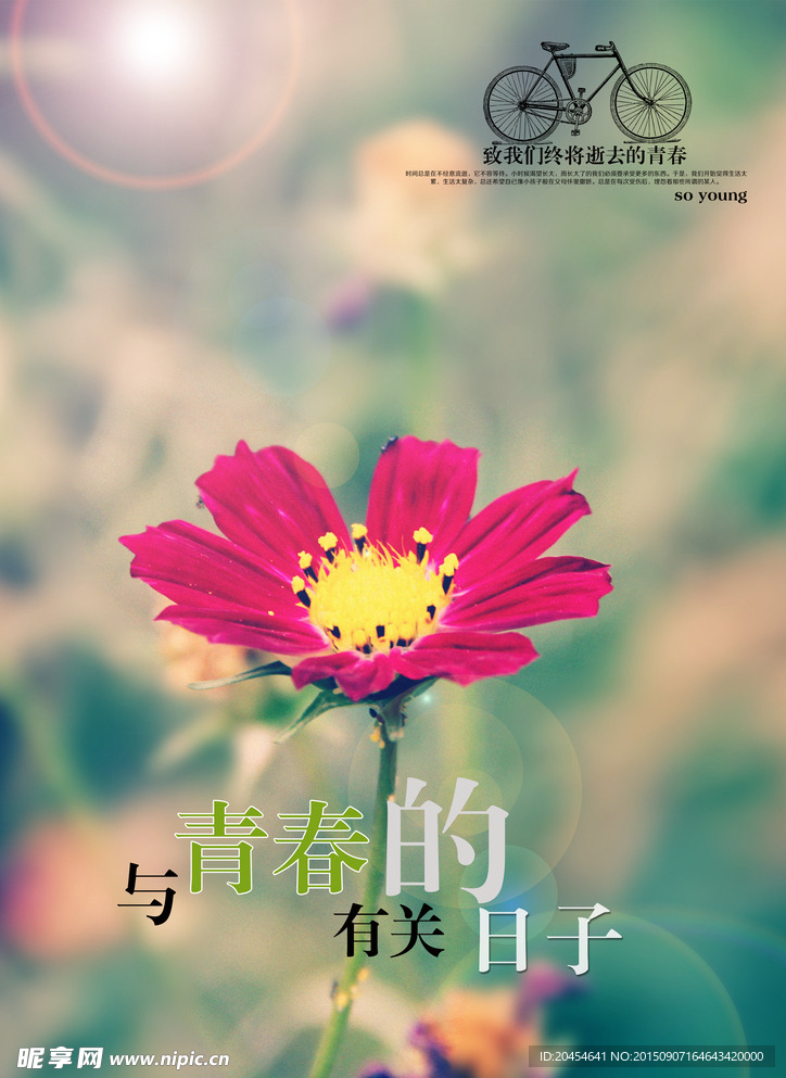 与青春有关的日子