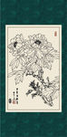 白描牡丹