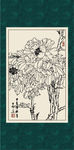 白描牡丹
