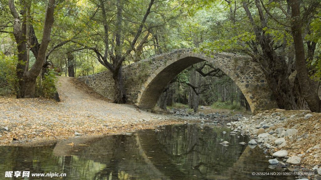 森林中的石拱桥