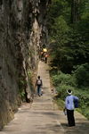 上山的路