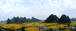 田原景观