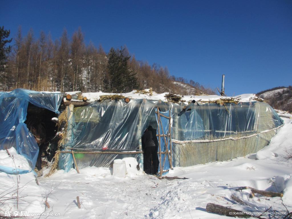 雪屋