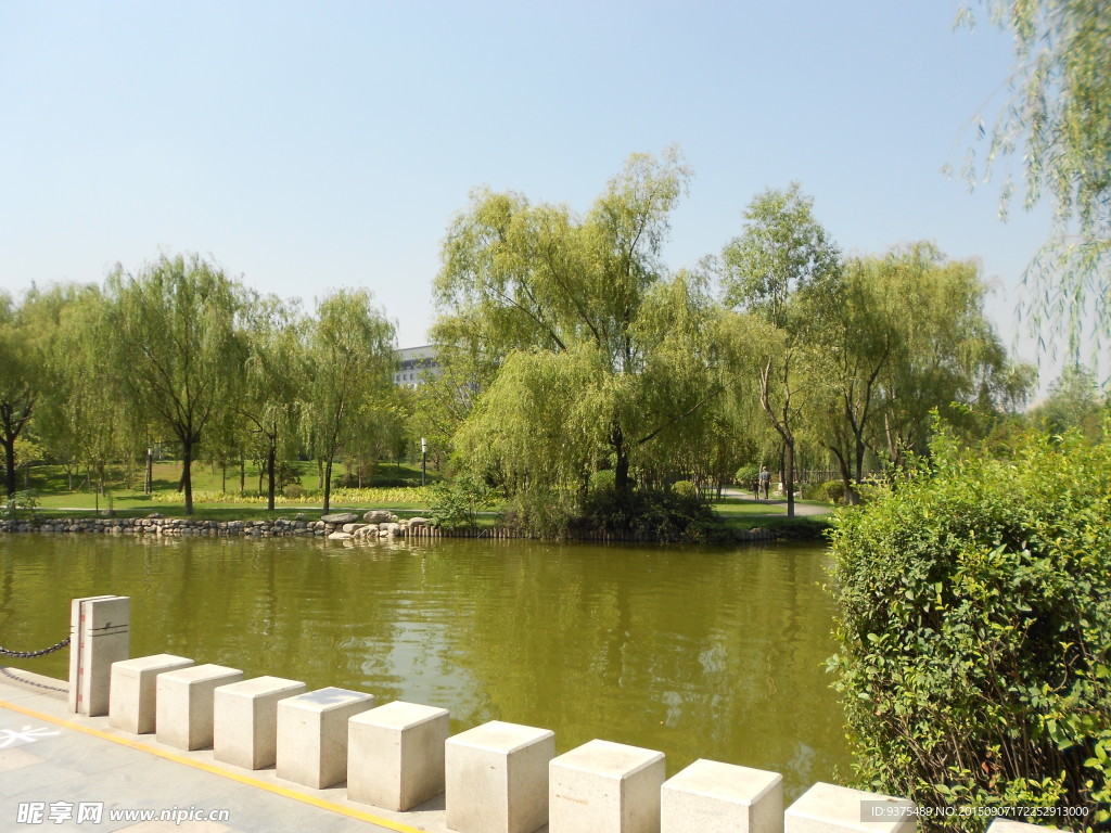 公园风景