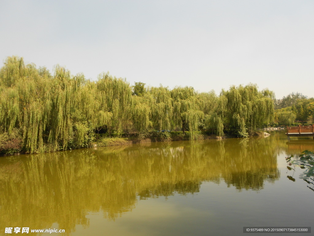 自然风景