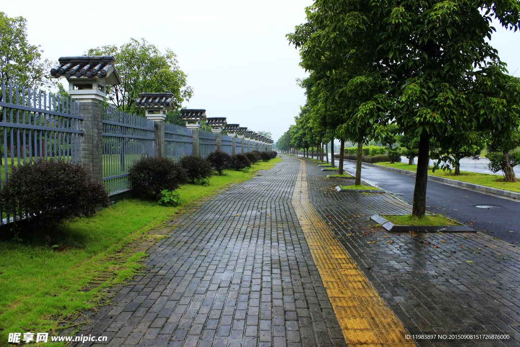 人行道细雨景观