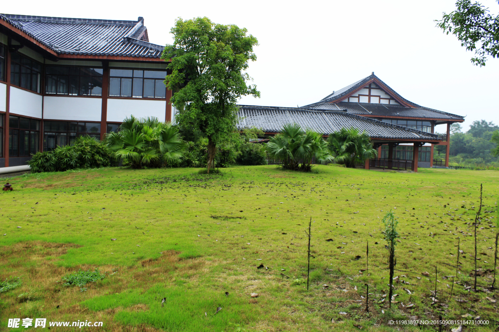 公园建筑草地