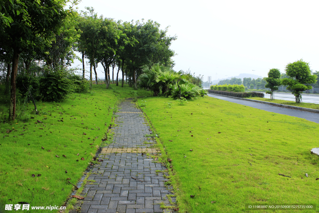 公路人行道草地