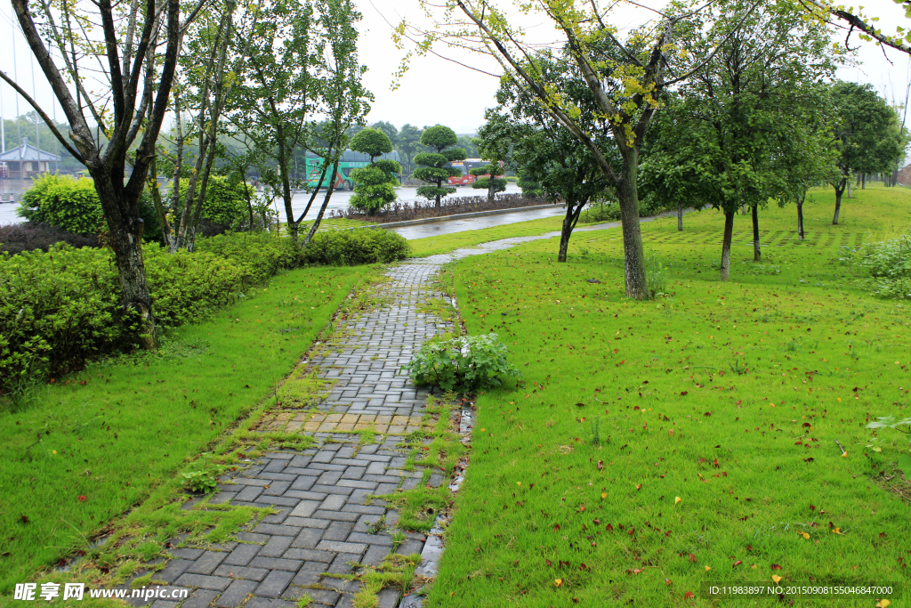 公路边走道草地