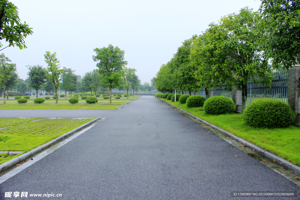 停车场道路绿化带