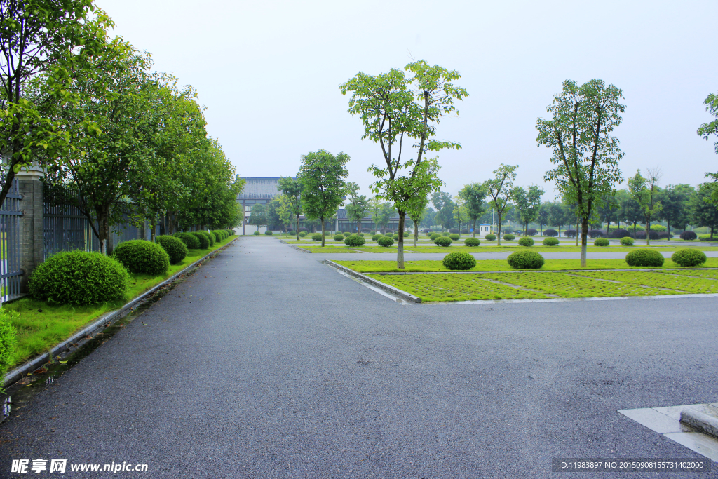 停车场道路绿化