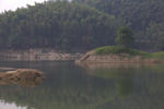湖一树