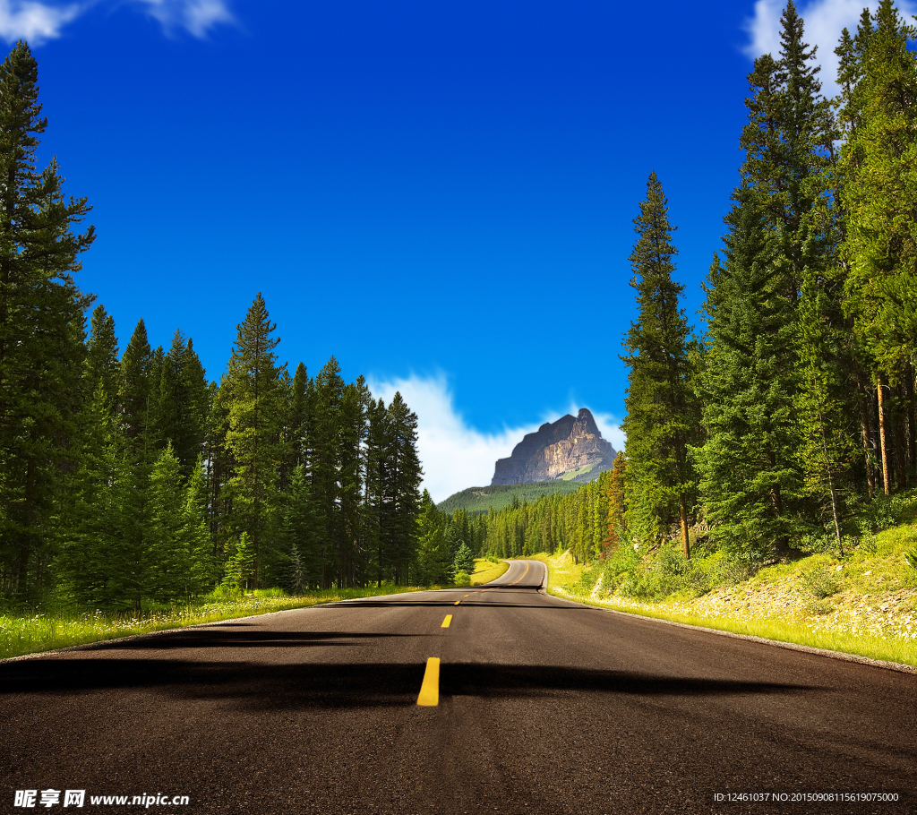 壁纸 背景 自然风光 乡村公路
