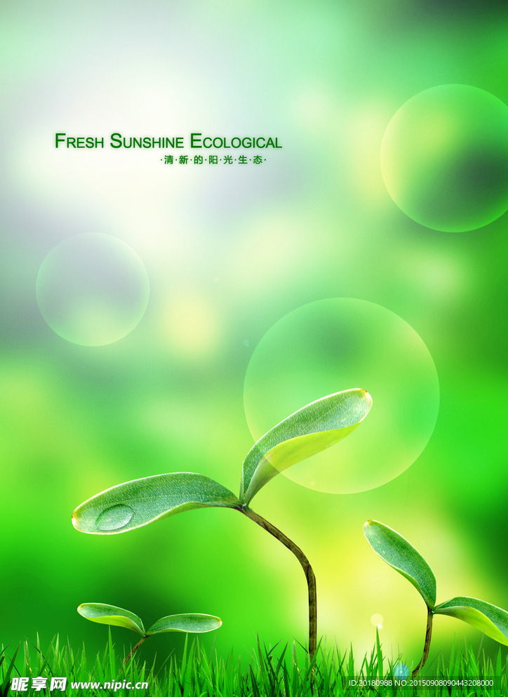 绿色植物海报