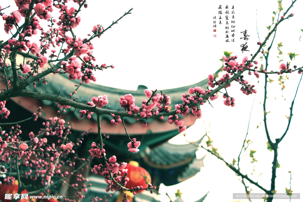 花画