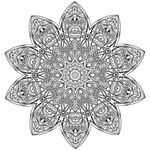 花纹