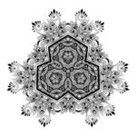 花纹