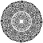 花纹