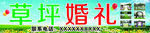 草坪婚礼 海报