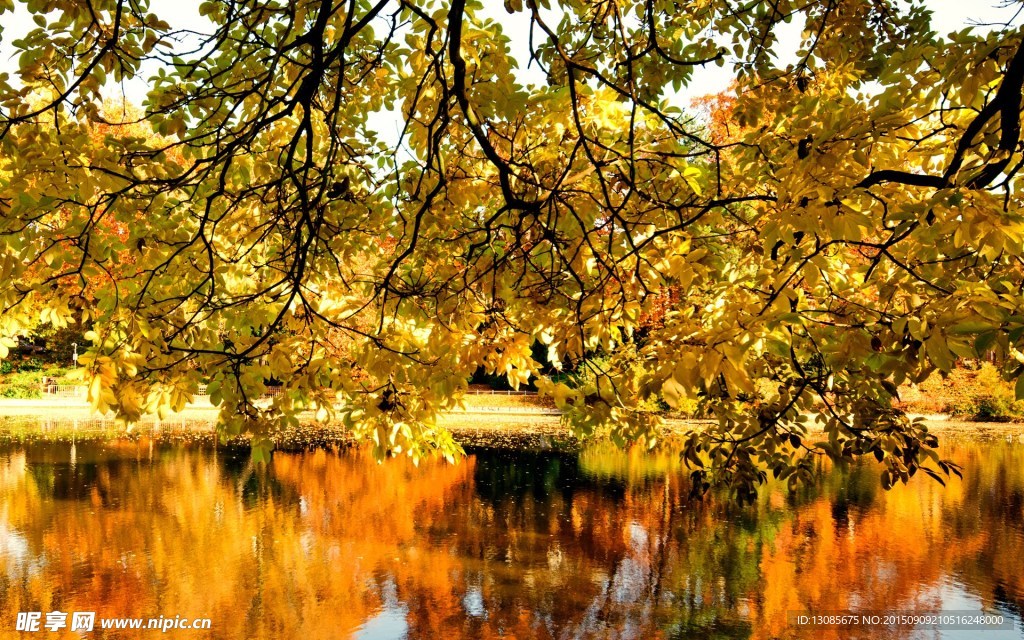 秋景