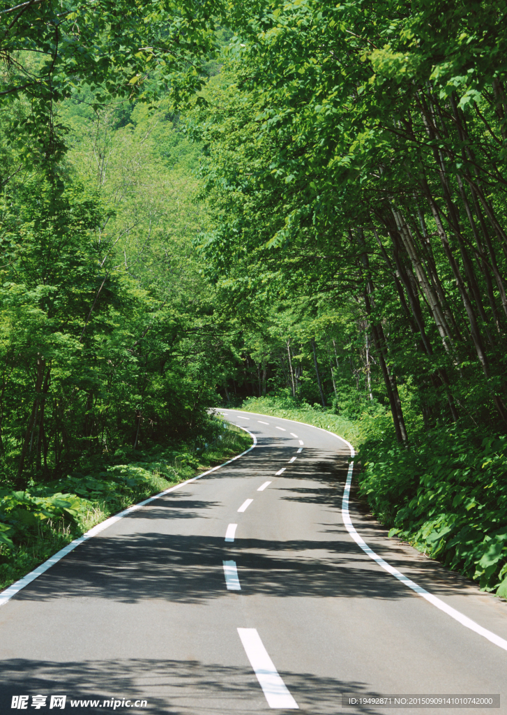 弯曲的道路