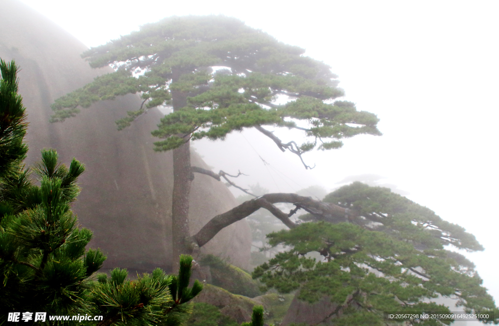 黄山风光 黄山旅游 黄山美景