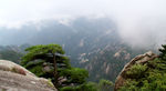 黄山风光 黄山旅游 黄山美景