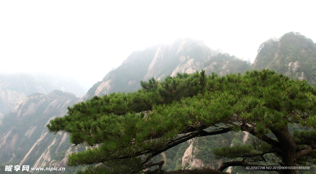 黄山风光 黄山旅游 黄山美景