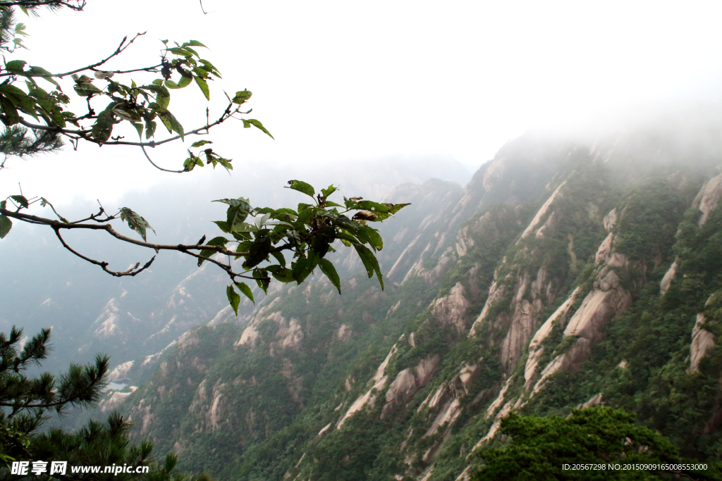 黄山风光 黄山旅游 黄山美景