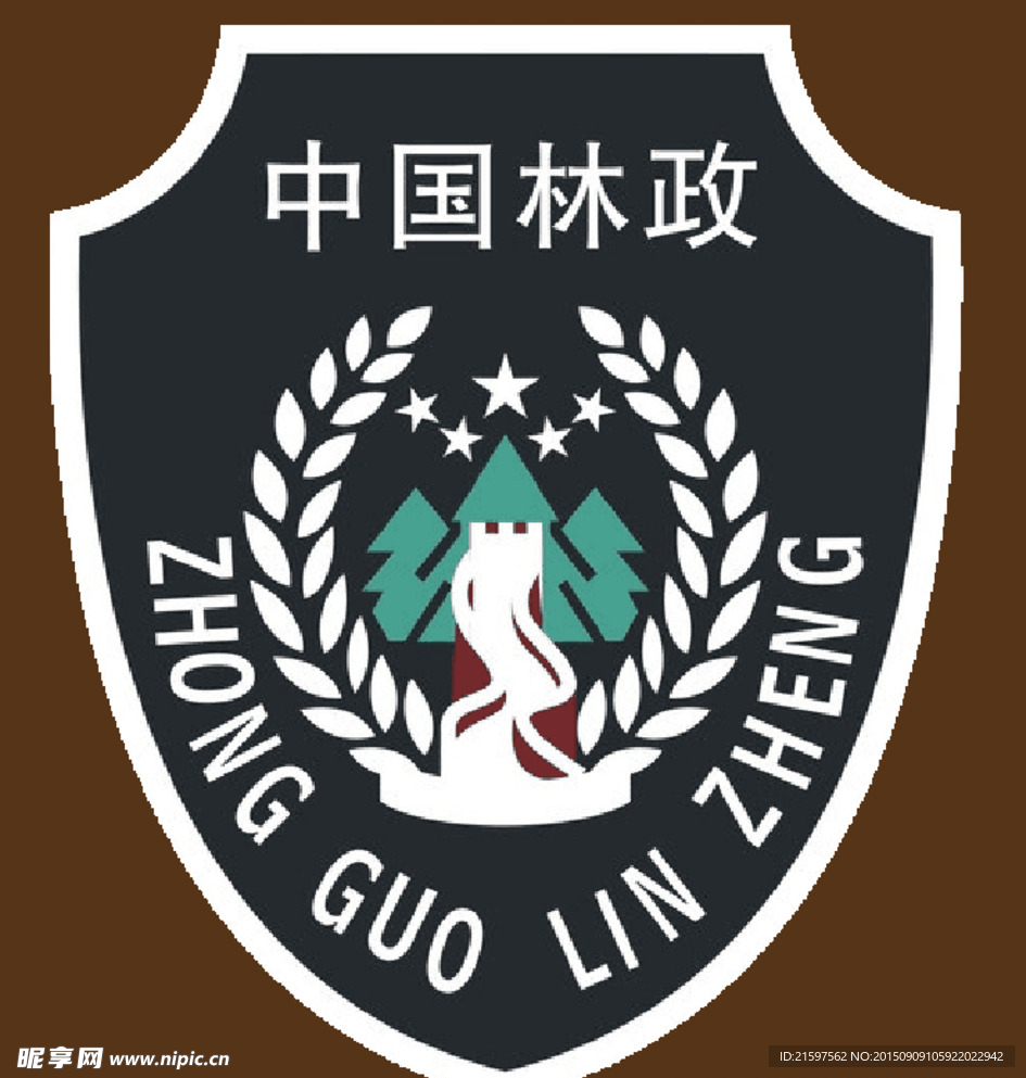 中国林政
