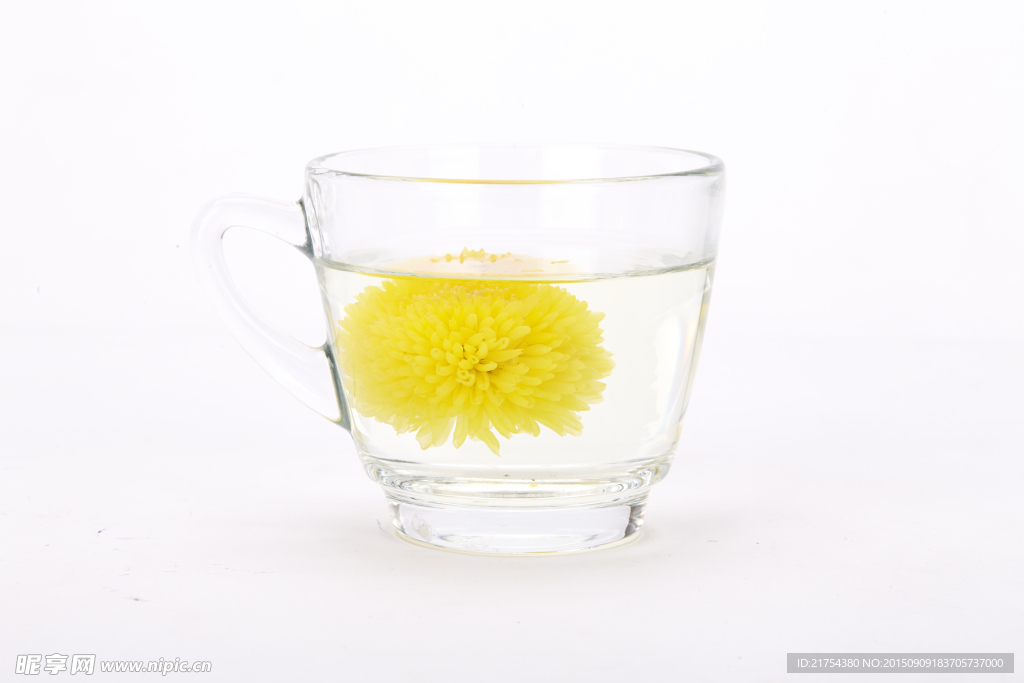 水中菊