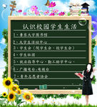 大学生迎新生展板