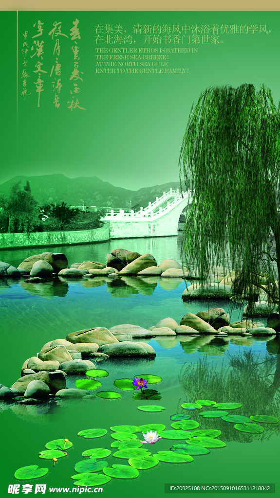 风景 风光 长柳树 小路 石子