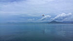 海
