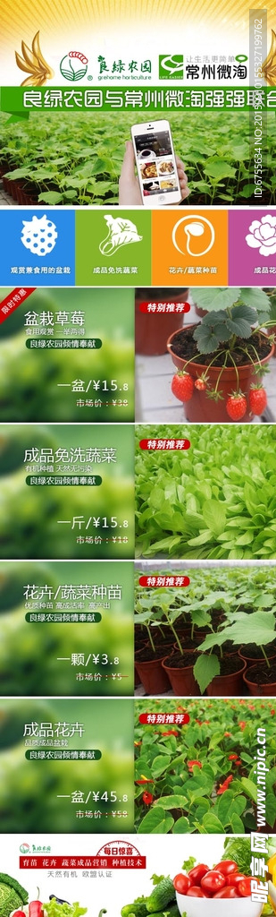 微信客户端
