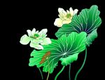 素荷蜻蜓飞
