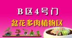 盆花多肉植物门牌