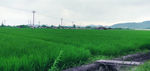 田野山脉摄影