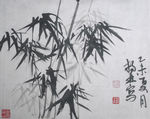 杨林国画《墨竹》