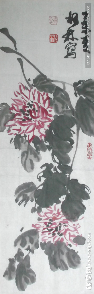 杨林国画《菊花》