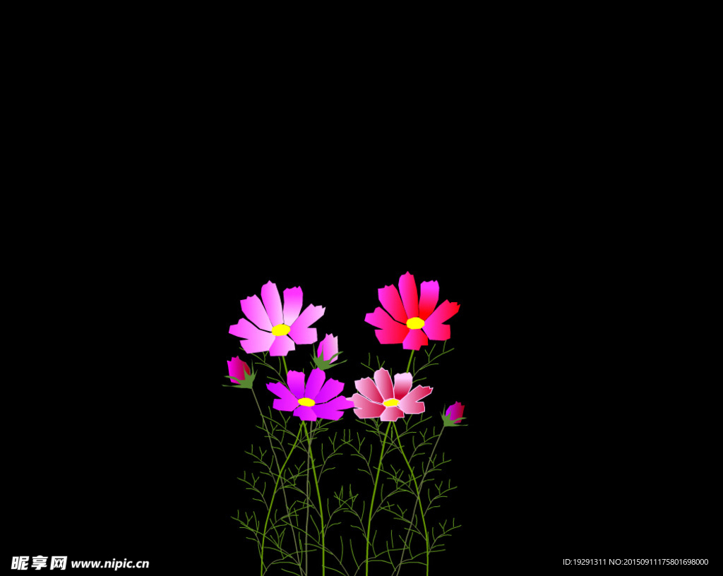 花卉动态背景视频