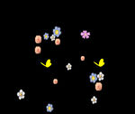 花卉动态背景视频