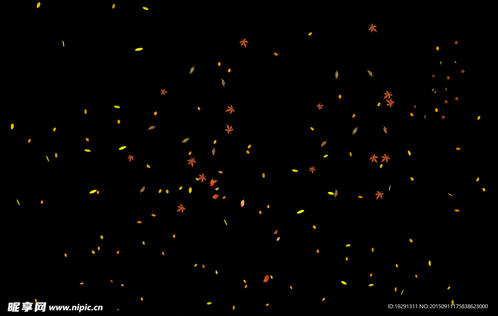 落叶动态背景视频