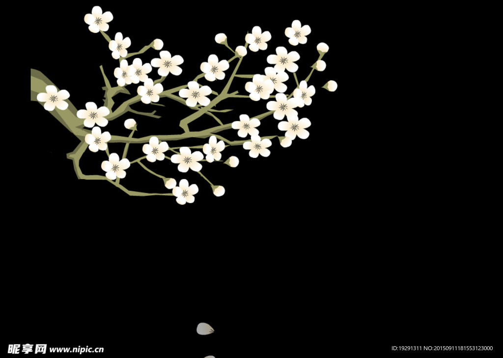 花枝动态视频