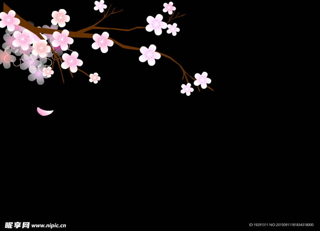 花枝动态视频