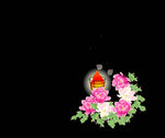 花卉动态视频