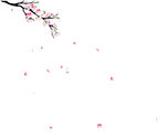 梅花动态视频
