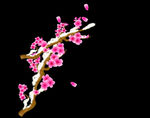 梅花动态视频