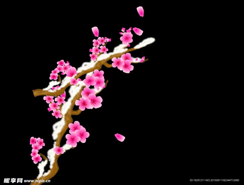 梅花动态视频