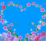 花卉动态视频